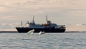 Spitsbergen